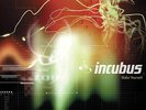Incubus Make Yourself (2 Lp's) Records & LPs New