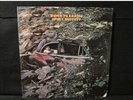 JIMMY BUFFETT Down To Earth 1970 VINYL LP Barnaby 30093 Beverly SANTA MARIA