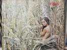 LOS ORIENTALES DE PARAMONGA • LOBOS AL ESCAPE • Lp G+ • GUAJIRA GOGO • Nice Hits