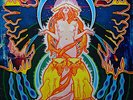 Hawkwind Space Ritual 2xLP Album Fol Vinyl Schallplatte 035