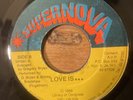 Gregory Bryan – Love Is Rare Island Boogie Funk Reggae Supernova Records