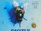 Tillmann Uhrmacher Feat. Peter Ries - Bassfly (12