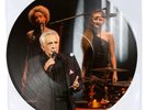 MICHEL SARDOU - COMME D'HABITUDE - VINYL PICTURE DISC 25 CM - LIMITEE 500 EX