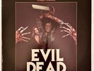 EVIL DEAD- Original Horror Soundtrack Vinyl-1984 Varese Sarabande-Sam Raimi-Rare
