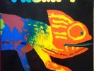 Krautrock LP - FRUMPY - ALL WILL BE CHANGED (1) - Philips GER 1970 - VG+