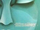 The BlueBoy* - Remember Me (12