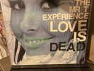 The Mr T Experience / Love Is Dead BLUE Marbled 1996 US Lookout  Records LK134