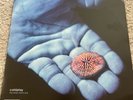 Coldplay The Blue Room Vinyl EP. Ltd Edition Rare Item