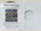 Flamin' Groovies 'Grease' Skydog 2LP TEST PRESSING +infosheet - very limited
