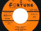 ANDRE WILLIAMS - Jail Bait / My Tears - FORTUNE - R&B 45rpm