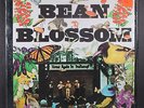 VARIOUS: bean blossom MCA 12