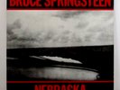 Bruce Springsteen NEBRASKA, Vinyl, Columbia PROMO (1982) First Pressing