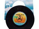 Burning Spear 1976 I and i Survive (Slavery Years) Island Promo DJ Reggae UK45