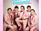 Los Caminantes - De Guanajuato... Para America  1986 Discos Rocio (VG+)