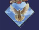 Peter Frampton - Wind Of Change [Used Very Good Vinyl LP] 180 Gram, Poster