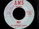 The DIFFERENT PARTS - Why / I private Louisiana garage fuzz rock '67 AMS 45 NM