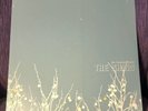The Shins - 