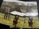 Noah Kahan Stick Season Vinyl LP - Chestnut Brown Signed Edition