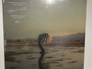 NEW SEALED Phoebe Bridgers & Rob Moose - Copycat Killer SPIT Vinyl EP