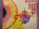 Kate Bush The Kick Inside Picture Disc First Press Runoout  YAX 5389 -4 / 5390-4