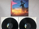 Amon Duul II Yeti A1/B1/A1/B1 1st Press EX/G 2 x Vinyl LP Record LSP 101 EJ Day