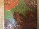 The Beatles Rubber Soul Taiwan First Records Press VG+ Green Cover Stereo Rare