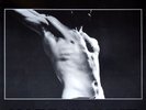 Rollins Band - Hard Volume (1st Pressing, 1989 Black Vinyl (EX/VG+) Black Flag