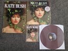 Kate Bush-Live At Hammersmith Odeon 79 RARE VINYL  474/545 With Poster&Postcard
