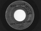 DOOWOP 45 -  TERRI and the VELVETEENS - BELLS OF LOVE  - HEAR  1962 KERWOOD