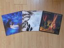 Echo and The Bunnymen Vinyl Records - Crocodiles, Porcupine, Ocean Rain