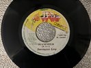 Barrington Levy   Hammer   Jah Guidance VG Condition