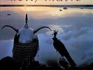 Roxy Music - Avalon - half speed remaster NEW SEALED vinyl LP Free postage