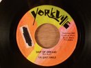 The Quiet Jungle  Ship Of Dreams/Everything  RARE  Canadian Garage Psych