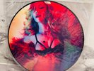 Madonna GIRL GONE WILD picture disc 12'' vinyl - - no promo