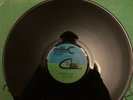 LEROY SIBBLES : GARDEN OF LIFE.     BIG SPANNER DISCO      LP