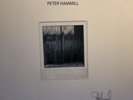 Peter Hammill - 12