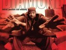 Diamond D - Hatred, Passions And Infidelity Vinyl 2LP NEU 09552319