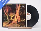 Echo & The Bunnymen - Crocodiles - A-1 B-1 LP Vinyl Record - EX/EX