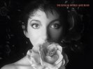Kate Bush - The Sensual World: 2018 Remaster (180 GRAM VINYL) - NEW WAVE *SEALED