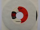 CLARENCE GREEN The Slop Original US 45 Lynn RnB BLUES 7”