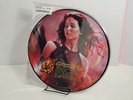 THE HUNGER GAMES: Catching Fire Movie Soundtrack PICTURE DISC Unplayed 2013 OST
