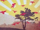 Have Heart, The Things We Carry, LP, N.Mint/VG+, Bridge Nine,2006,Punk,Hardcore