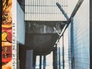 THE CREATURES 'ERASER CUT' 1998 10
