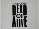 DEAD OR ALIVE YOUTHQUAKE EPIC 303P670 JAPAN VINYL LP