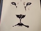 Pride [LP] by White Lion (Vinyl, Atlantic USA)