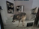 Grinderman – Grinderman 2. LP Mute 2010. New