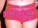 Peaches - The Teaches Of Peaches (NEW 12