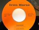 PRIVATE PRESS ROCK GUITAR 45- Iron Horse- Freedom- 1972 - NM-LISTEN