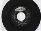 The Beach Boys  Surfin /  Luau  On Candix  Rare  Original   45