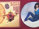 KATE BUSH THE KICK INSIDE RARE UK PICTURE DISC LP VINYL RECORD EMI ‎EMCP 3223